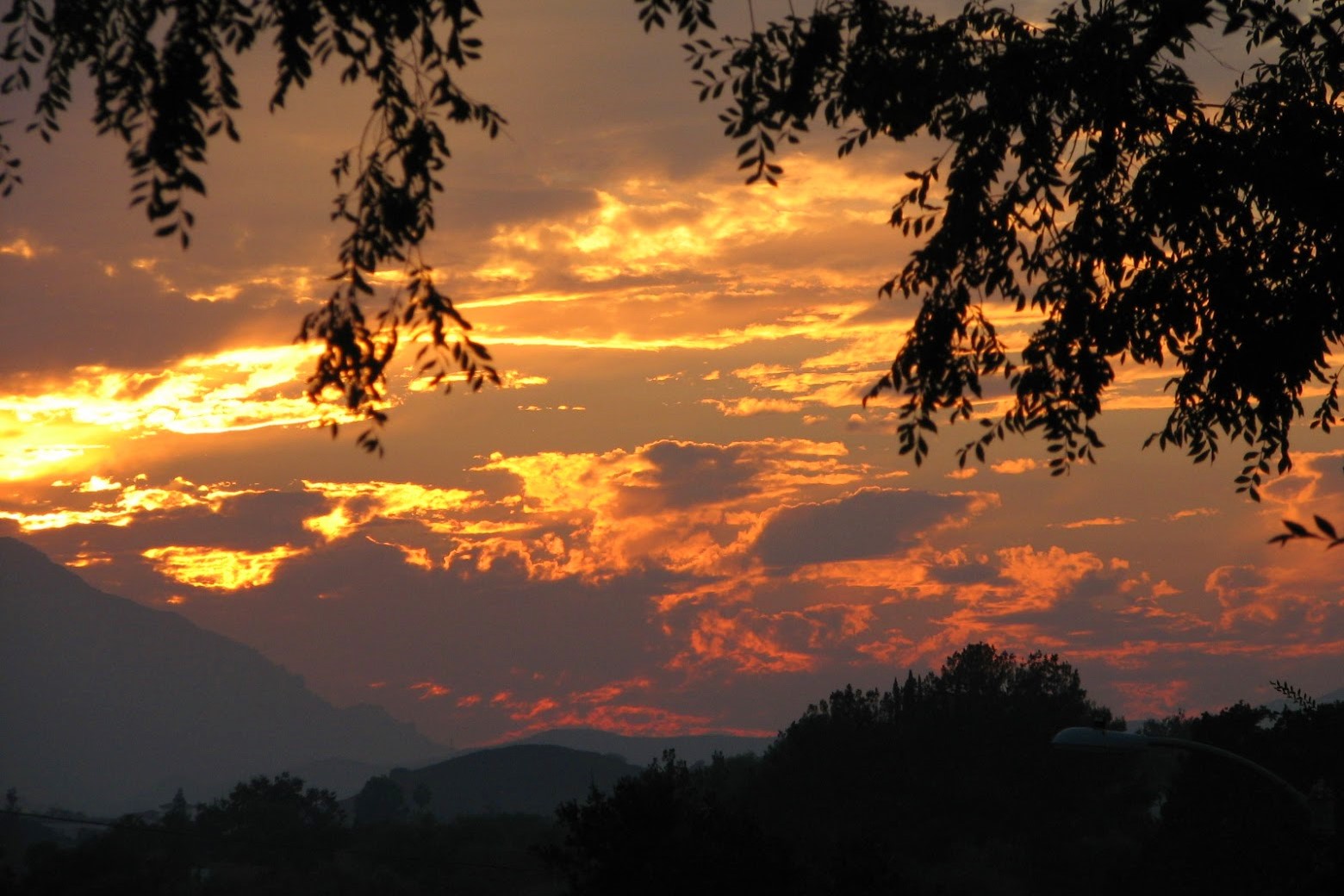 picture of red, orange, and yellow sunset with clouds surrounded by silhouettes of leaves